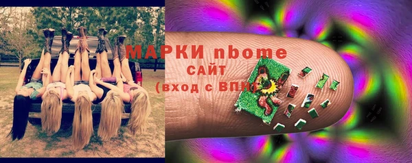 стаф Алзамай