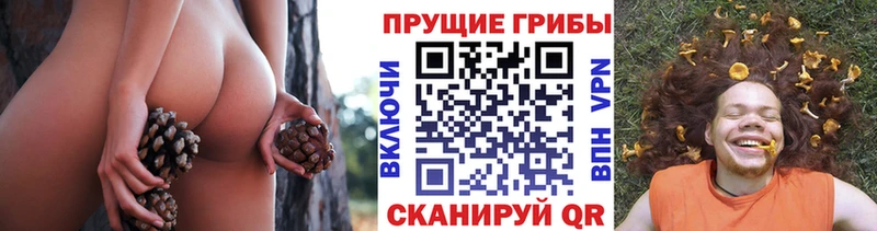 Псилоцибиновые грибы мицелий  Ступино 